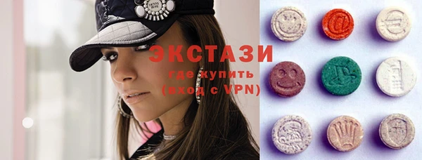 хмурый Аркадак