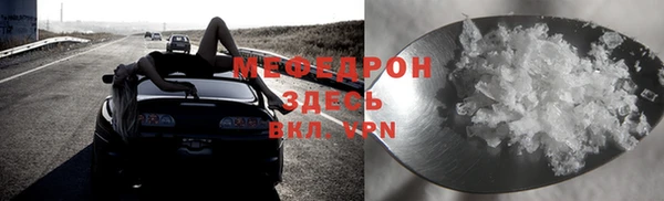 хмурый Аркадак