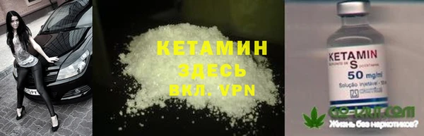 хмурый Аркадак