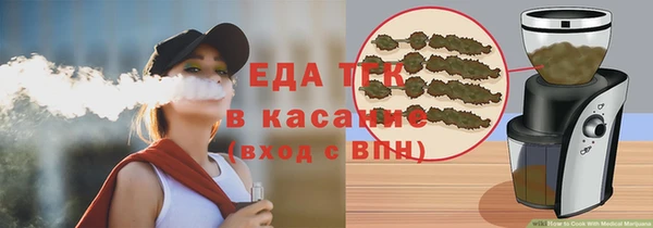 хмурый Аркадак