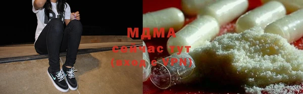хмурый Аркадак