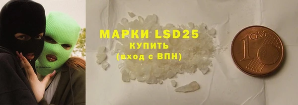 хмурый Аркадак