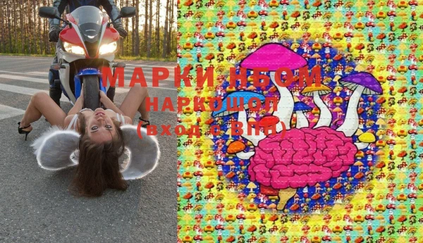 хмурый Аркадак