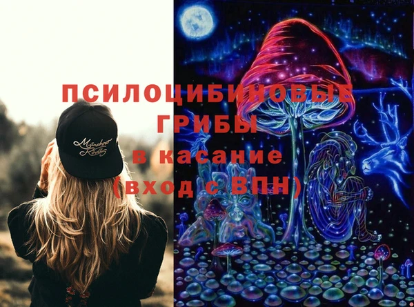 стафф Арсеньев