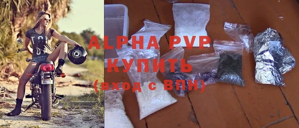 стафф Арсеньев