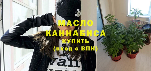 хмурый Аркадак