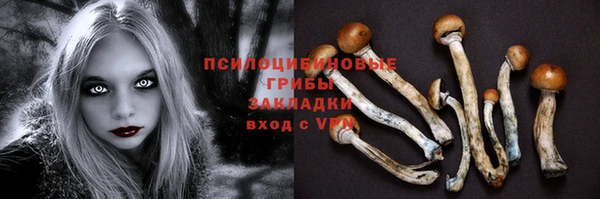 стафф Арсеньев