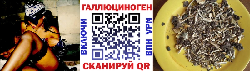 Псилоцибиновые грибы GOLDEN TEACHER Полярный